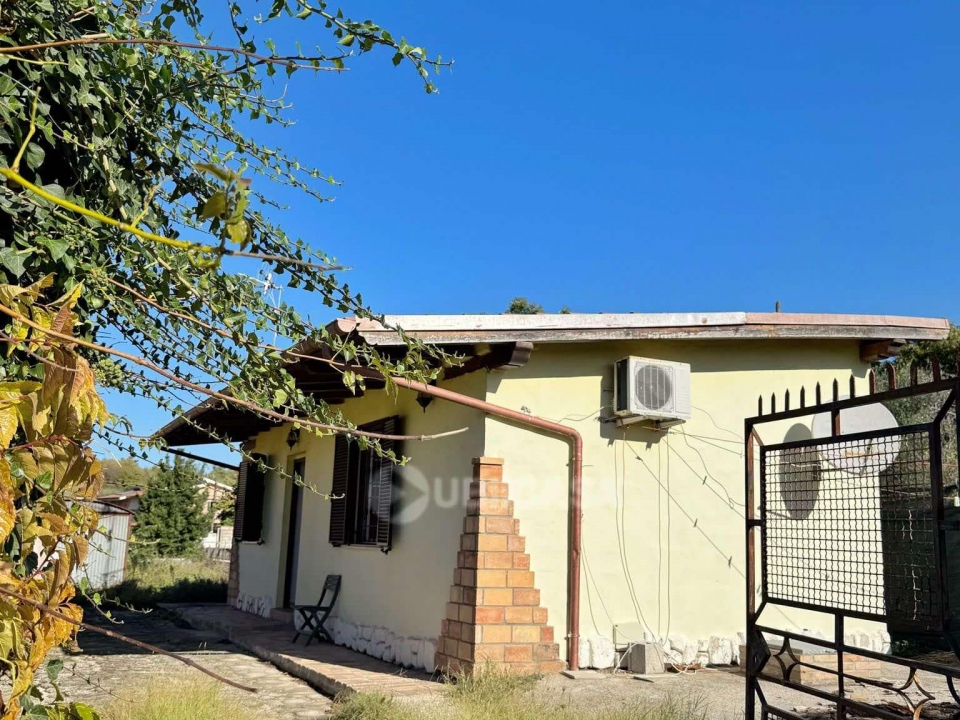 8a7d7b00 987b 449d a4a5 05ad54e53685