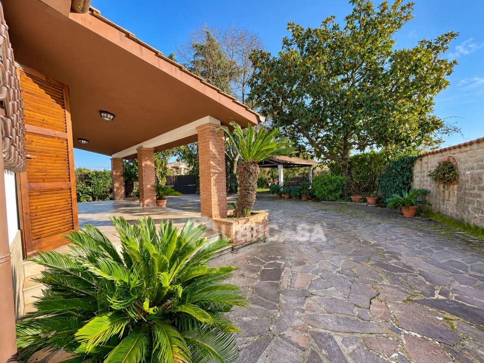 dafaf157 d699 458f af98 3ee78c906d12