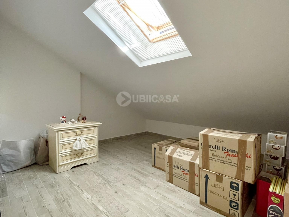 328716628 1554409888390146 5312801666536092995 n   Copia