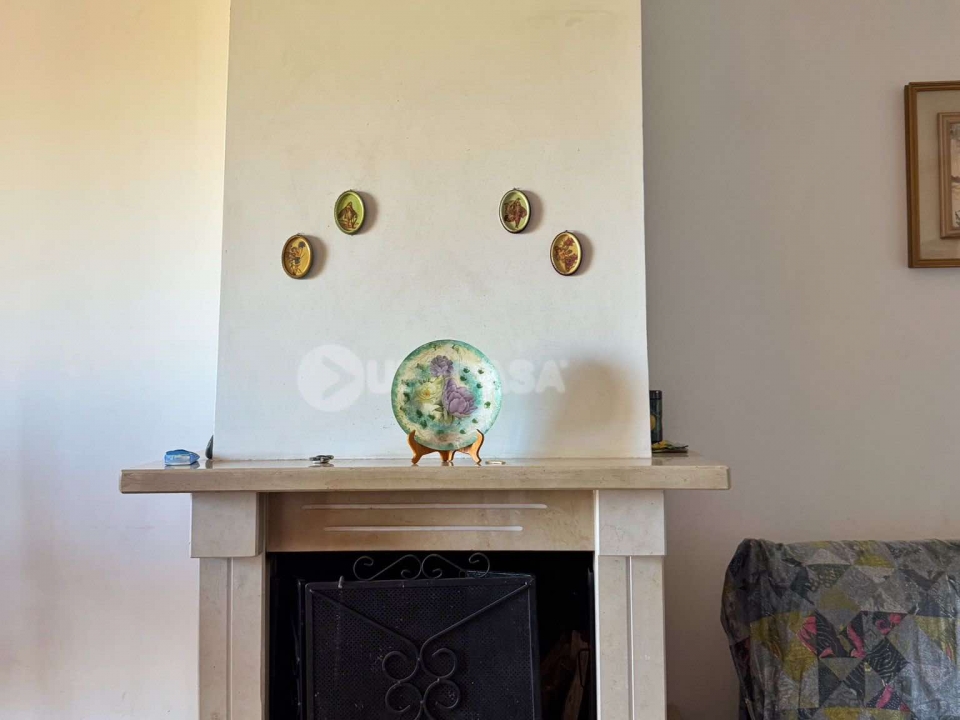 566519101 4358024921097029 9222970762552834073 n