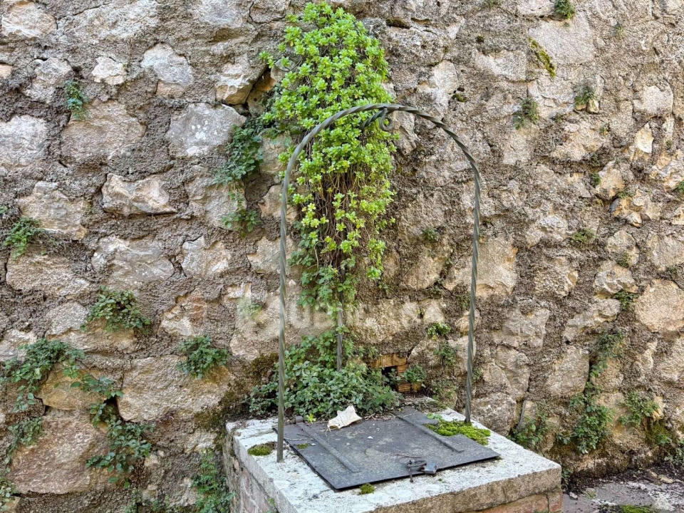 566546616 1792953805427650 8392652523301811971 n