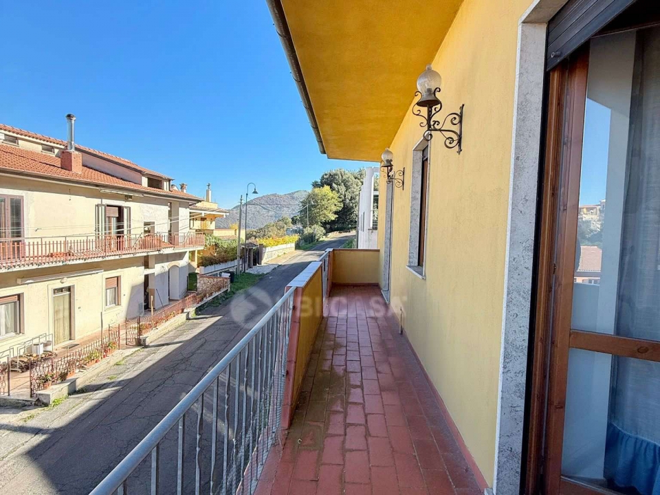 575174183 2729852810541555 2179941691189585159 n