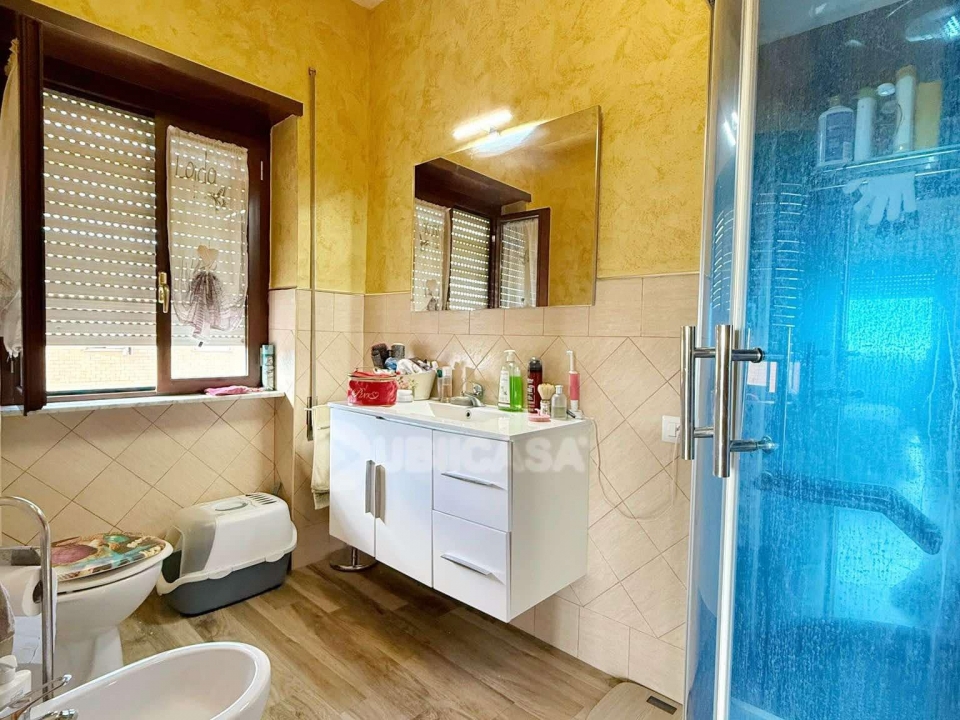 b780c115 918e 4221 b56e 20dd7eb56f8e